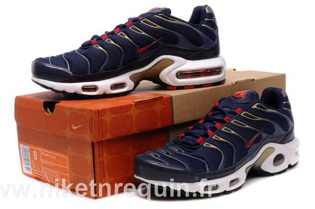 nike tn 2010 bleu (1).JPG